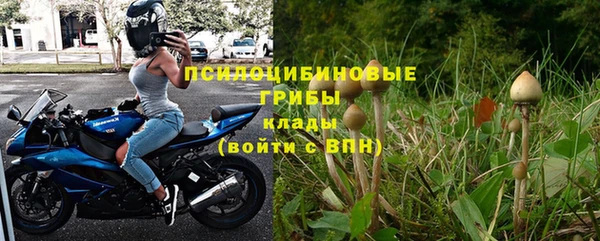 молекула духа Алзамай