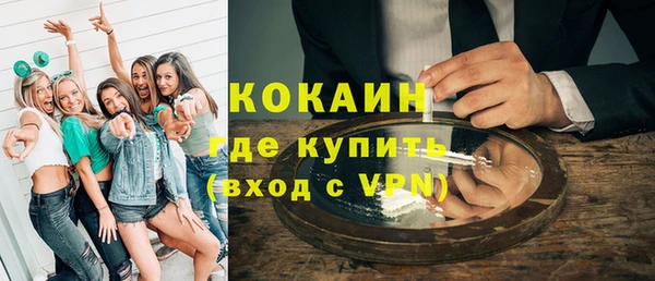 индика Алексеевка