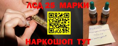 гидра Обнинск