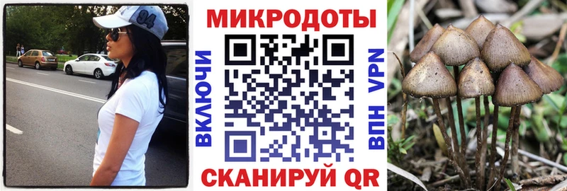 магазин    Ставрополь  Галлюциногенные грибы Magic Shrooms 