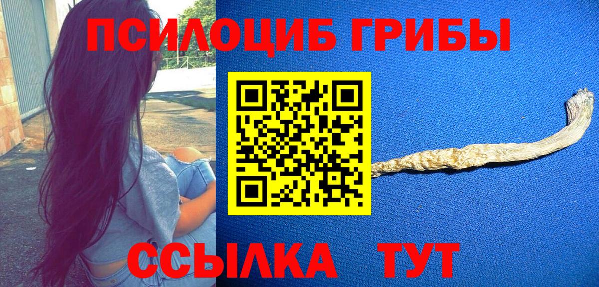 Галлюциногенные грибы прущие грибы  где найти   Галлюциногенные грибы Cubensis  Ставрополь  Вход с VPN 